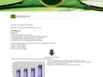 Exemplo de página institucional.