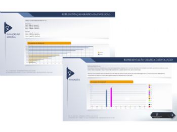 Exemplo de outros relatórios, como evolução do material didático e avaliação dos professores sobre cada aluno.